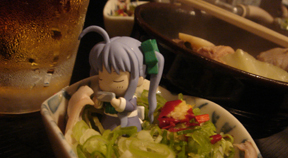画像は多分はめこみ合成です(ラストは福岡もつ鍋周辺です)