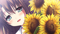 tohka: image 1 0f 4 thumb